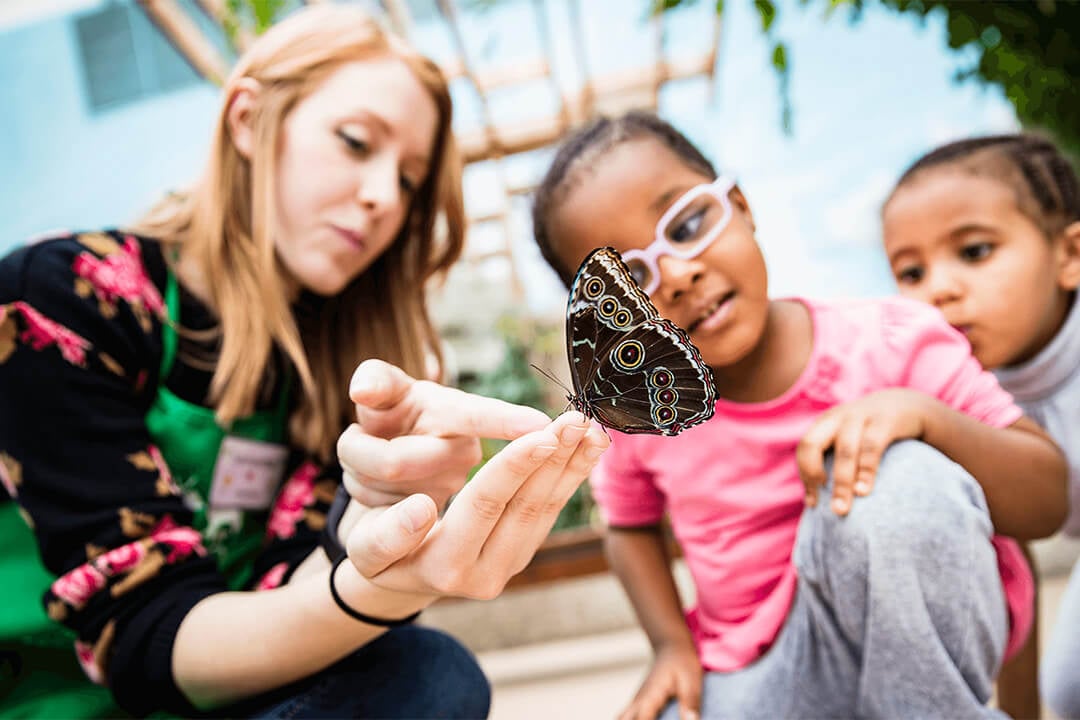 Peggy Notebaert Nature Museum - Butterfly Exhibit