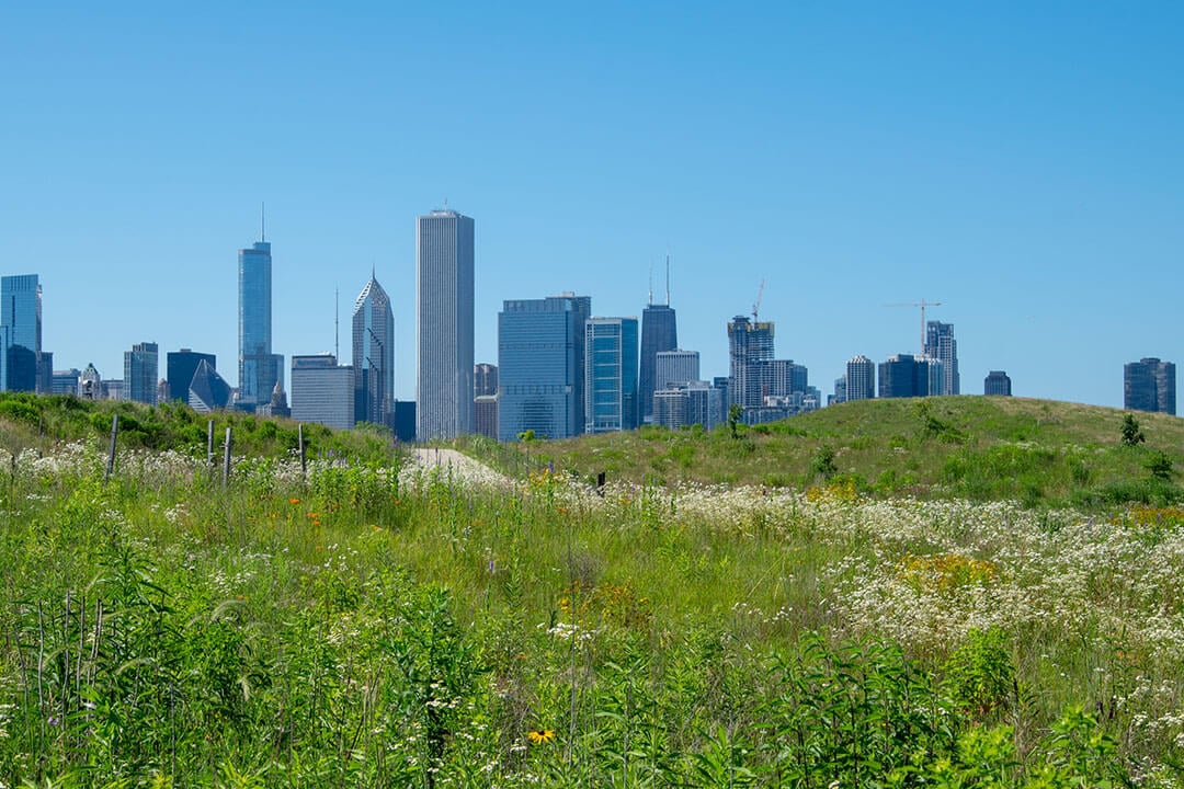 Views of Chicago from Northerly Island